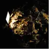 Ender Yılmaz - Nocturnal Leaves - Single